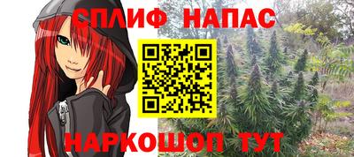 Альфа ПВП Малгобек