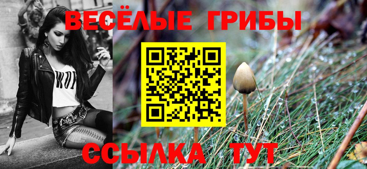 Ржев  дарнет шоп  Вход с VPN  Галлюциногенные грибы мицелий 